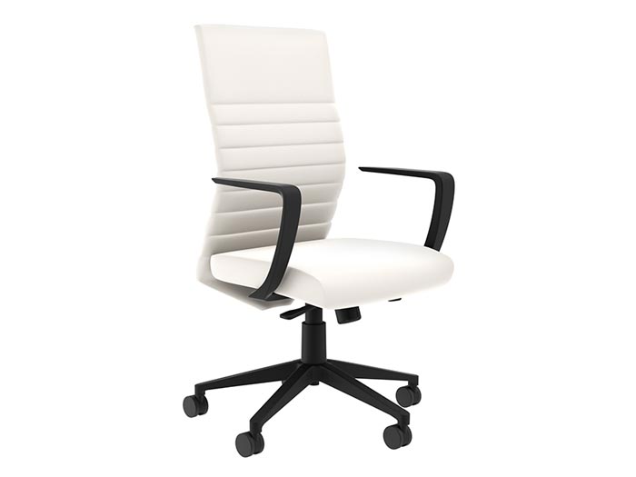 Compel Maxin Conference Chair