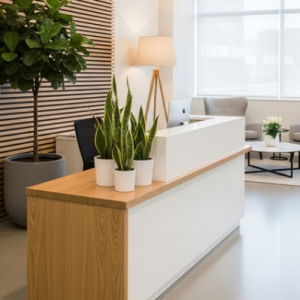 Office Furniture Design